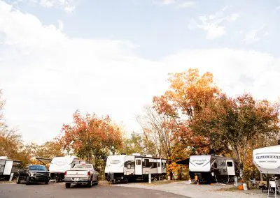 campers lined up with orange trees