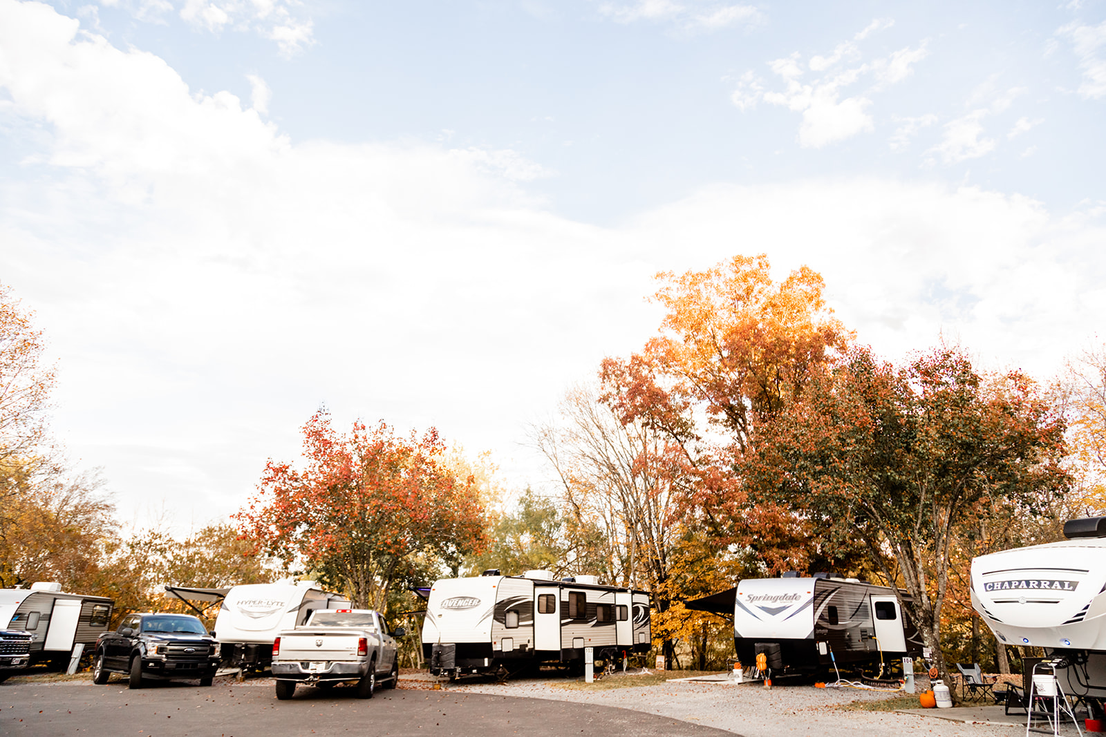campers lined up with orange trees campers lined up with orange trees