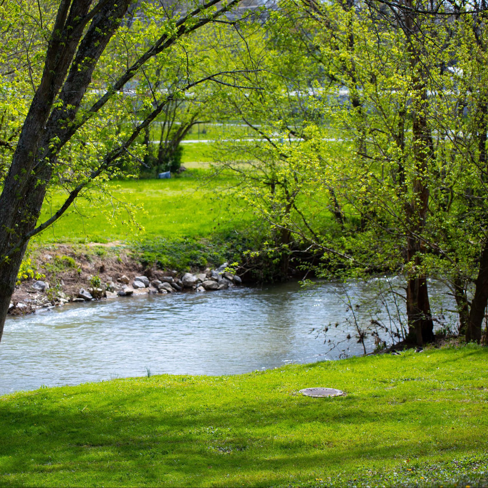 walden_creek_1024 creek